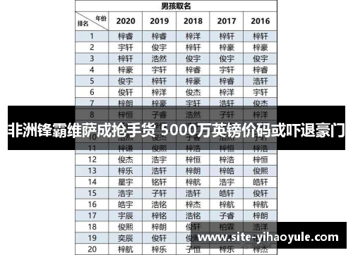 非洲锋霸维萨成抢手货 5000万英镑价码或吓退豪门