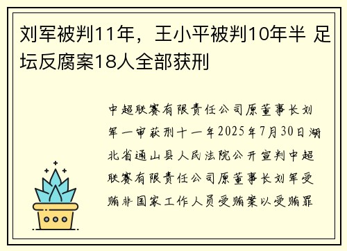 刘军被判11年，王小平被判10年半 足坛反腐案18人全部获刑